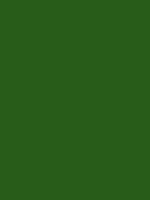 #285c19 color image