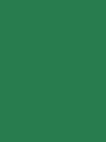 #287c4e color image