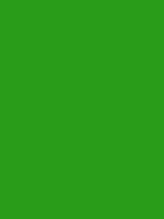 #299c19 color image