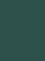#2c514b color image