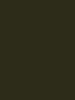 #2d2c19 color image