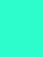 #2dfdcd color image