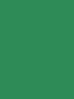 #2e8b57 color image