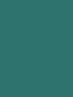 #2f736e color image
