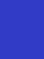 #313bc6 color image