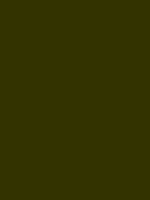 #333300 color image