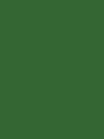 #336633 color image
