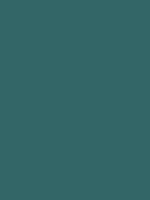 #336666 color image