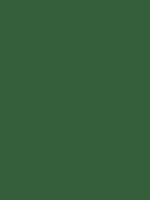 #355e3b color image