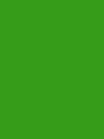 #369c19 color image