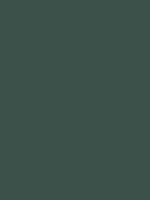 #3d514b color image