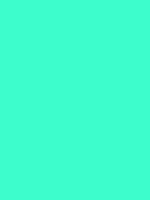 #3dfdcd color image