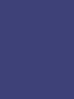 #40407a color image
