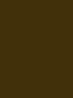 #41300a color image