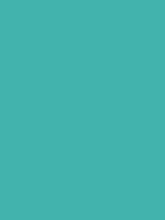 #43b3ae color image