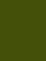 #445009 color image