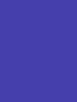 #453fac color image