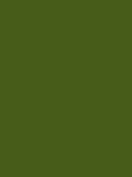 #475c19 color image