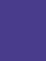 #483d8b color image
