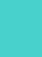 #48d1cc color image