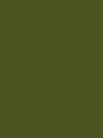 #4b5320 color image