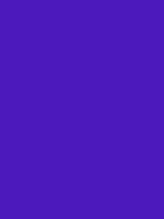 #4c19bc color image