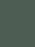 #4d5d53 color image