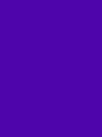 #4e05ab color image