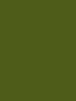 #4e5c19 color image