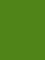 #4e8317 color image