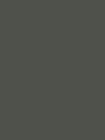 #4f514b color image