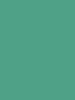 #4fa187 color image