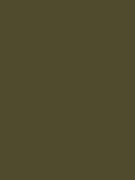#514b2d color image