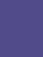 #514b8a color image