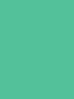 #53c19a color image