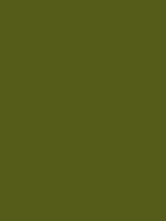 #545c19 color image