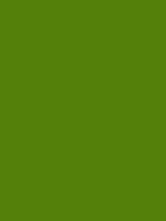 #54800a color image
