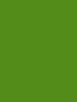 #548c19 color image
