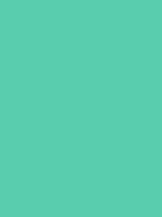#59cdae color image