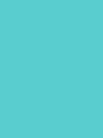 #59cdcf color image