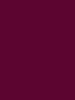#5b052d color image
