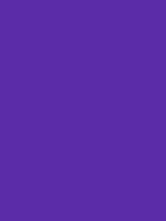 #5b2ca8 color image