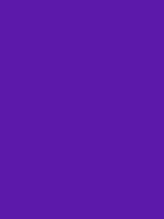 #5c19aa color image