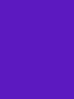 #5c19bf color image