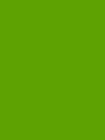 #5ea202 color image