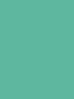 #5eb79f color image