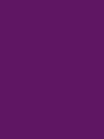 #5f1663 color image