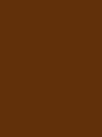 #61300a color image