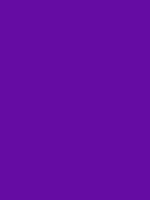 #650ca3 color image