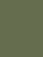 #656d4e color image